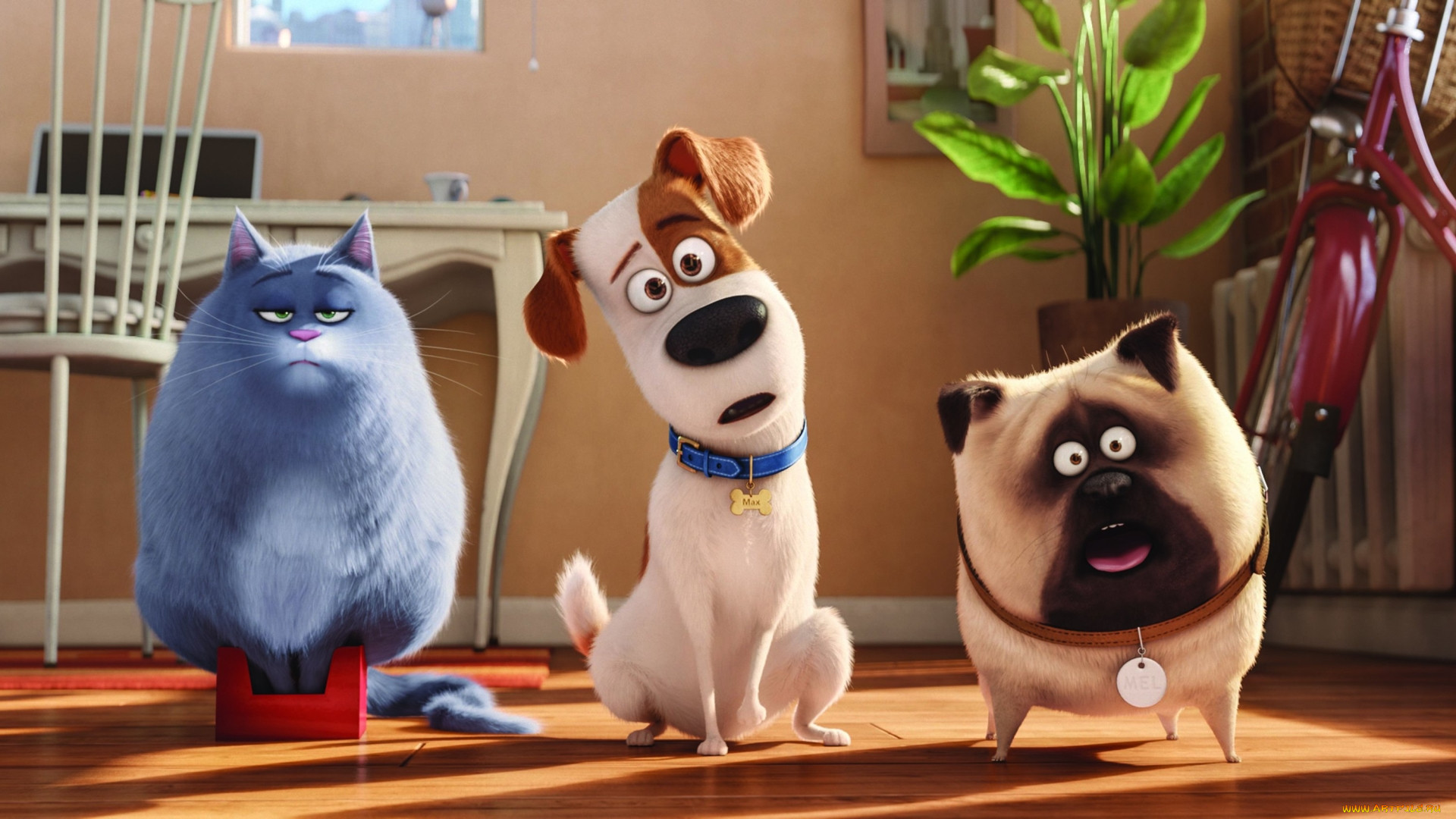 , the secret life of pets, 